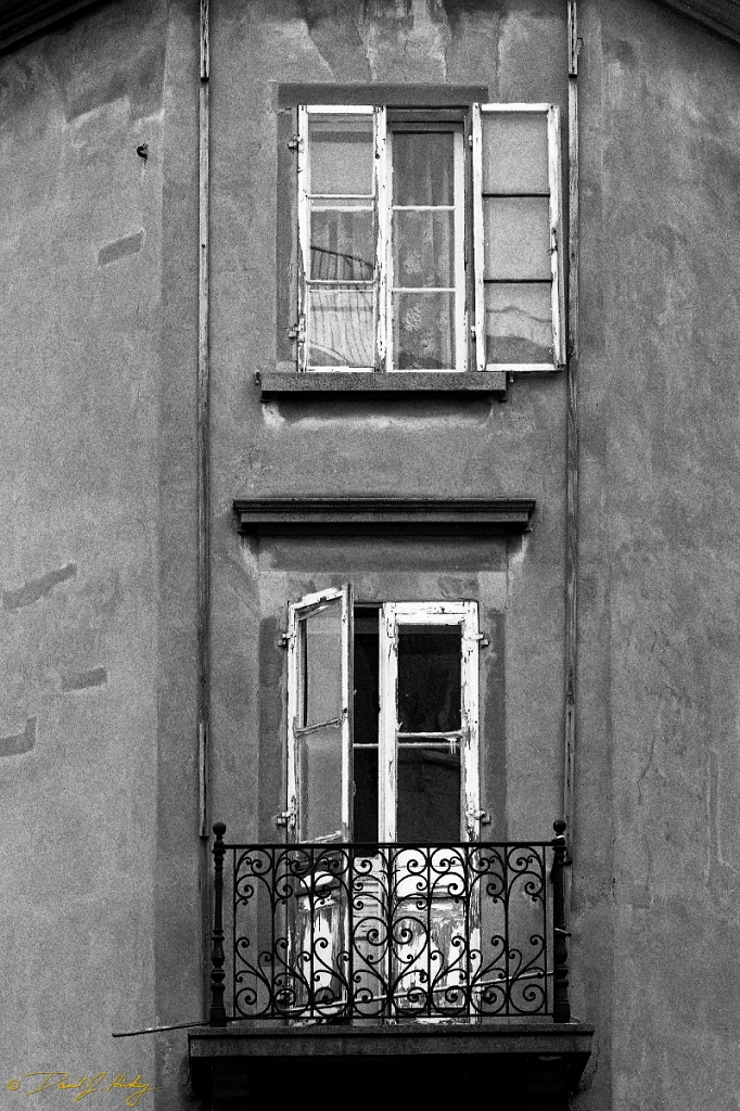 metz windows-2
